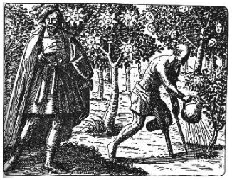 sendivogii 5